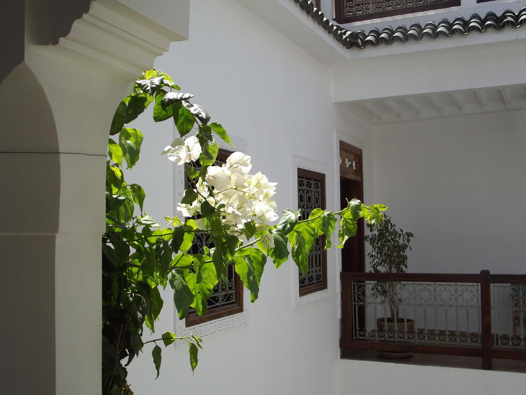 Riad Les Bougainvilliers Marrakesz Zewnętrze zdjęcie
